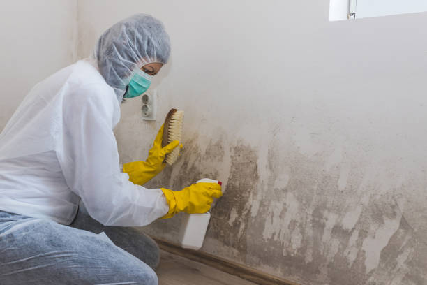 Mold Removal for HVAC Installations in Port Jervis, NY