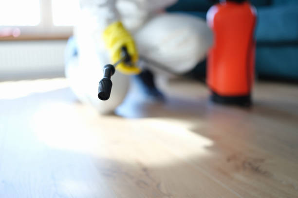 Trusted Port Jervis, NY Mold Removal Experts